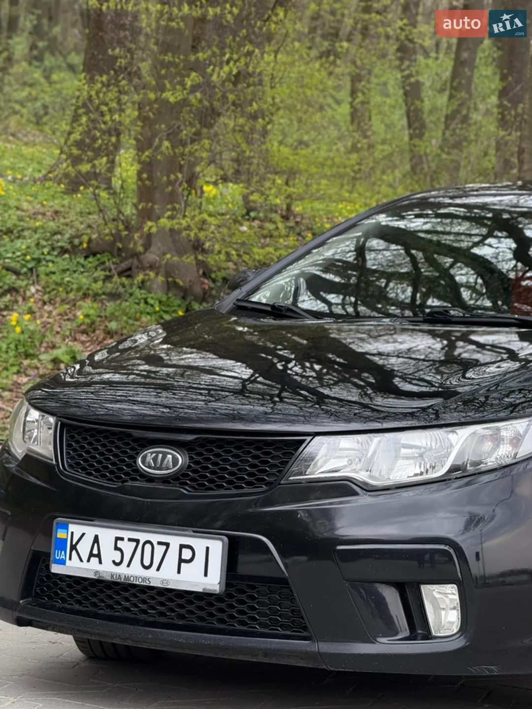 2011 Kia Cerato - мініатюра 2