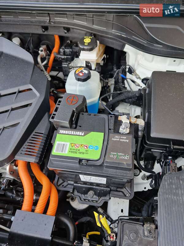 Позашляховик / Кросовер Kia Niro 2020 в Хмельницькому