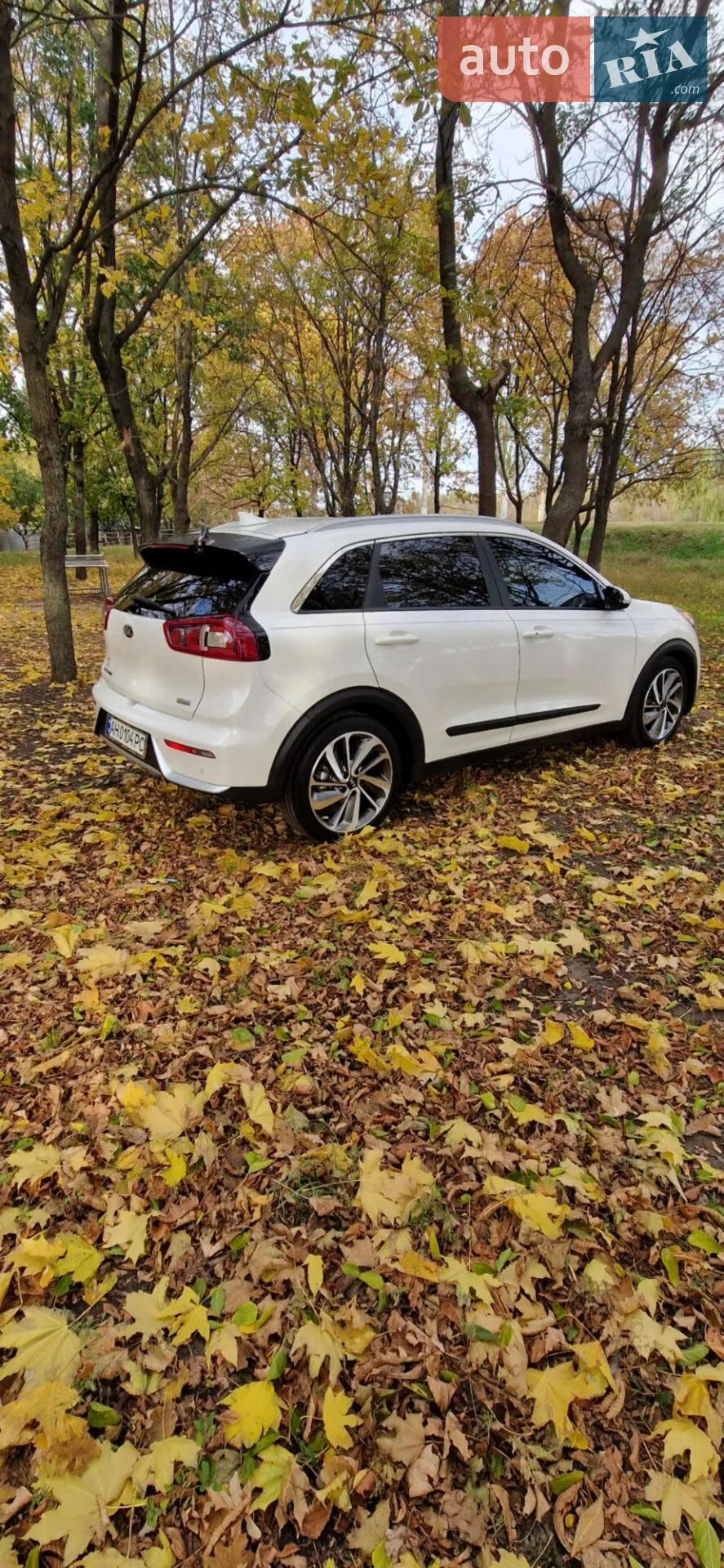 2019 Kia Niro - мініатюра 6