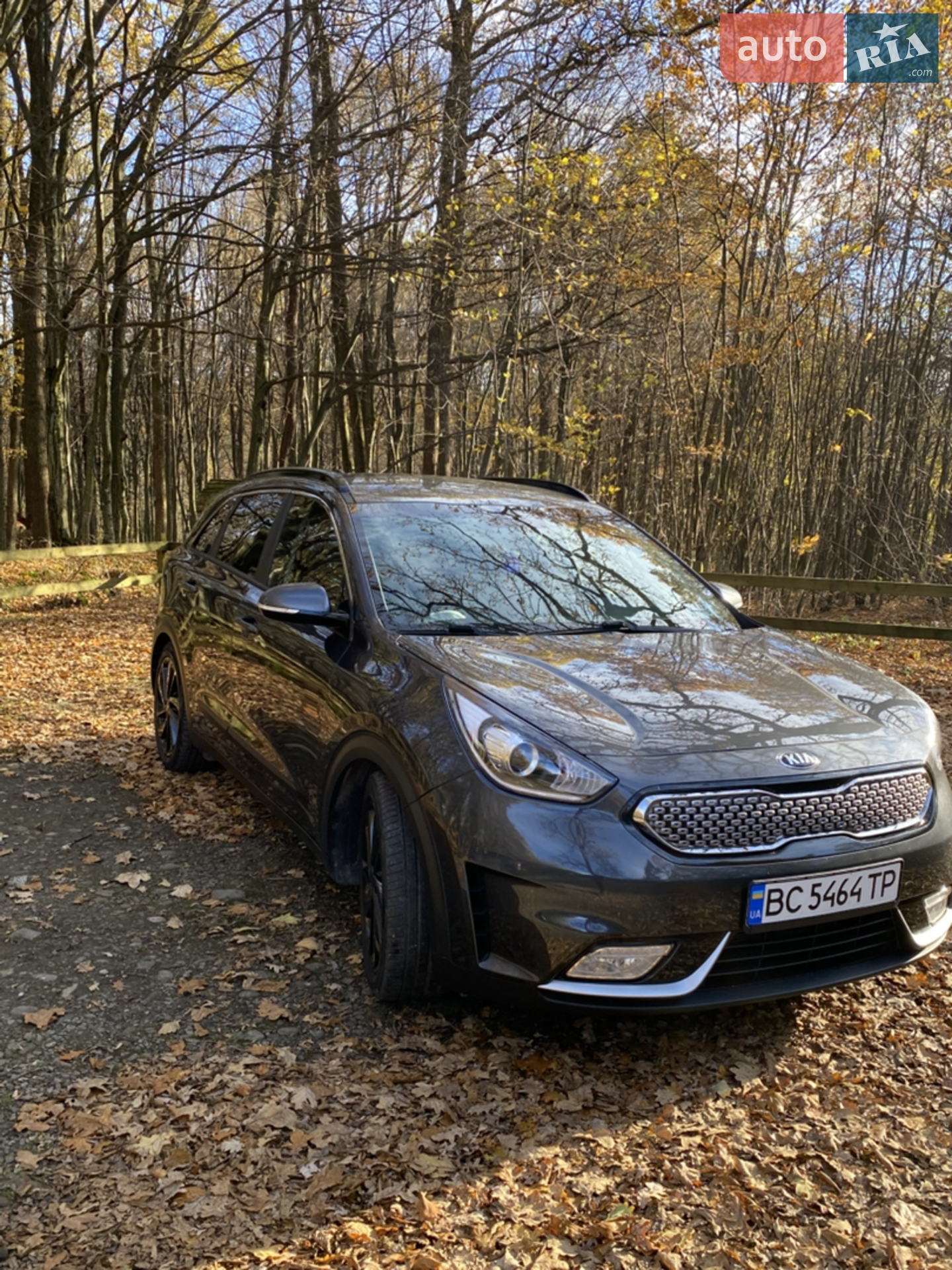2017 Kia Niro - мініатюра 2
