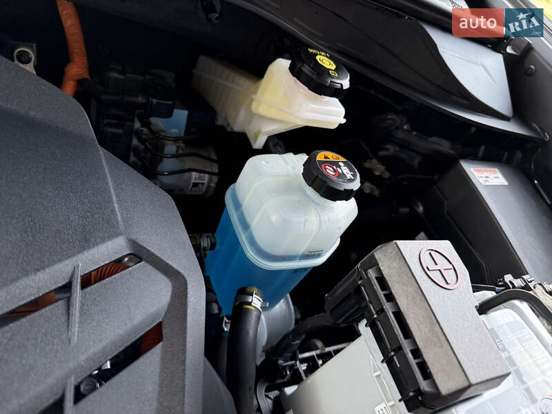 Внедорожник / Кроссовер Kia Niro 2020 в Дрогобыче фото 82 Внедорожник / Кроссовер Kia Niro 2020 в Дрогобыче