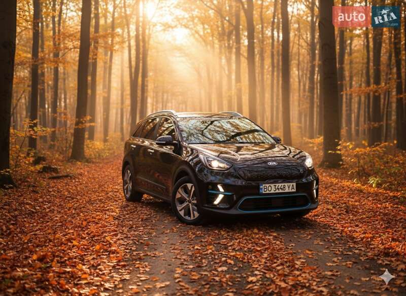 Внедорожник / Кроссовер Kia Niro 2020 в Гусятине