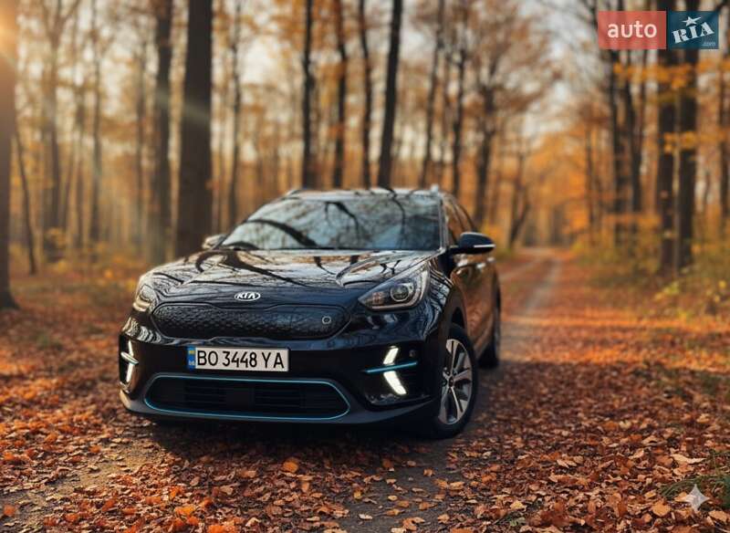 Внедорожник / Кроссовер Kia Niro 2020 в Гусятине