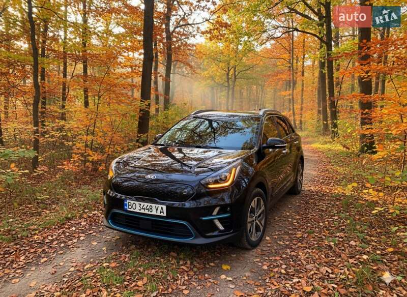 Внедорожник / Кроссовер Kia Niro 2020 в Гусятине