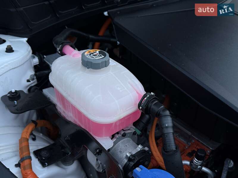 Позашляховик / Кросовер Kia Niro 2022 в Дрогобичі фото 157 Позашляховик / Кросовер Kia Niro 2022 в Дрогобичі