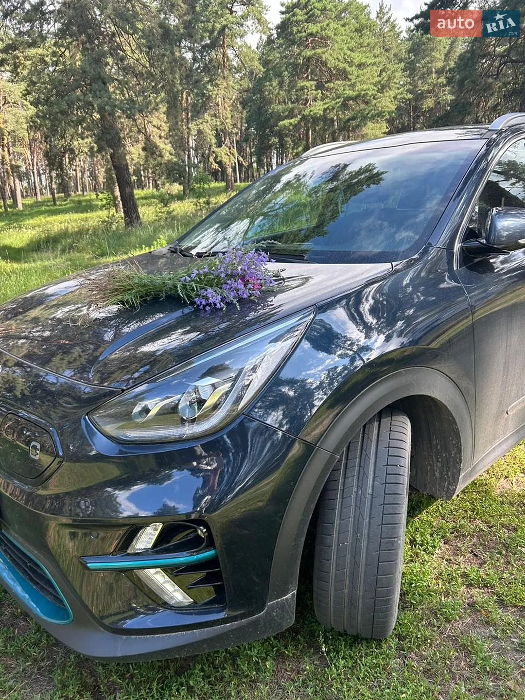2018 Kia Niro - мініатюра 2
