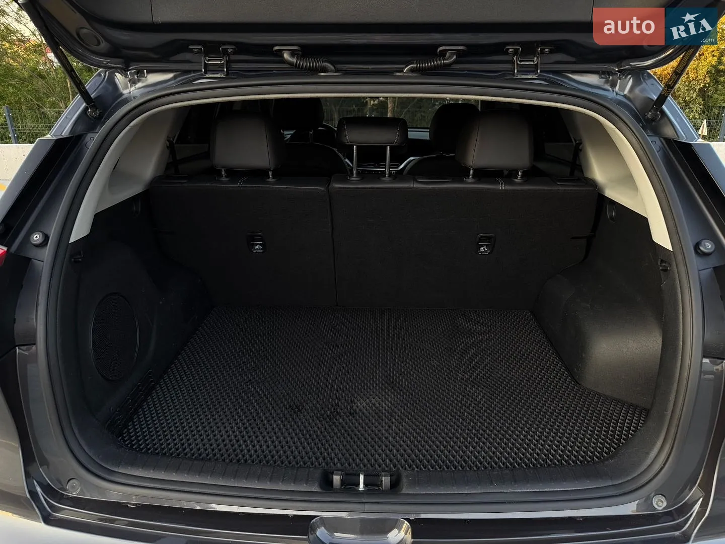 2019 Kia Niro - мініатюра 31