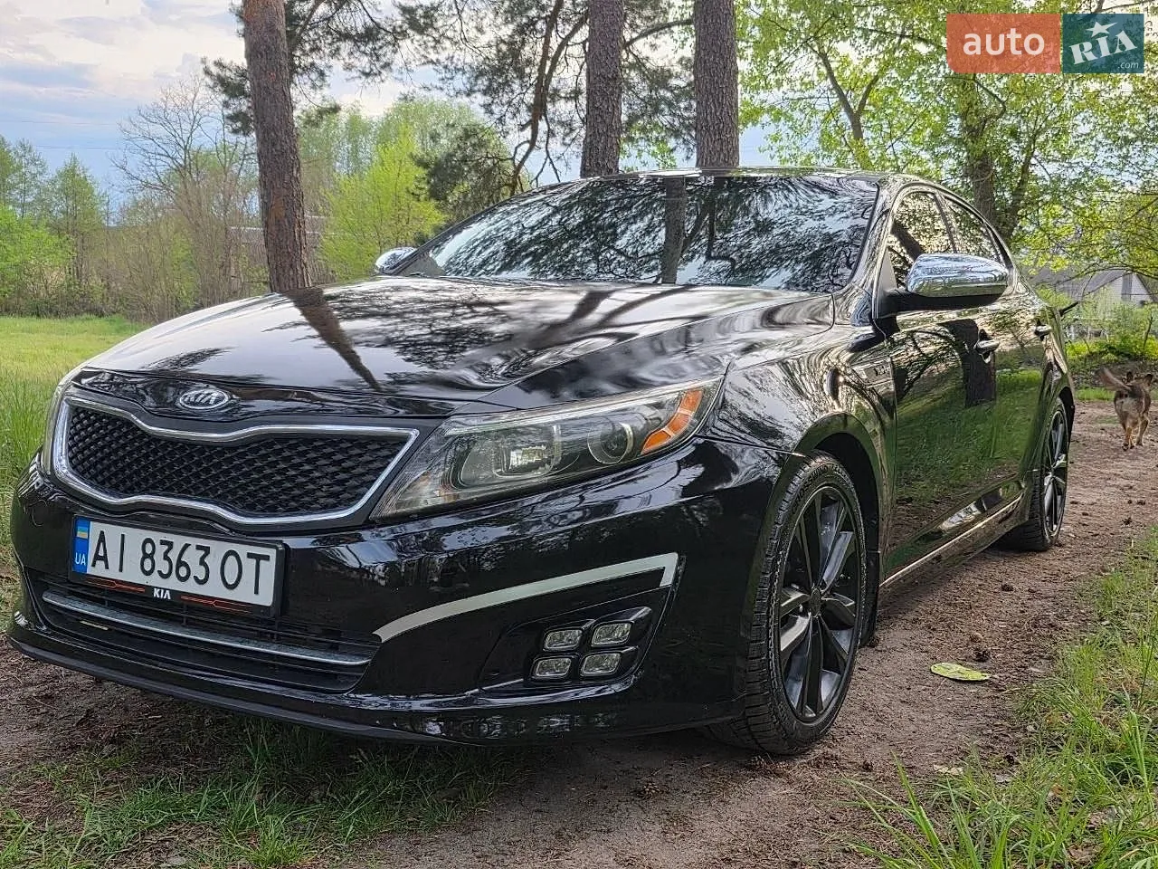 2013 Kia Optima - мініатюра 12
