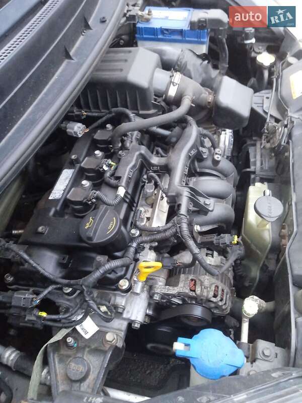 Хетчбек Kia Picanto 2011 в Красилові