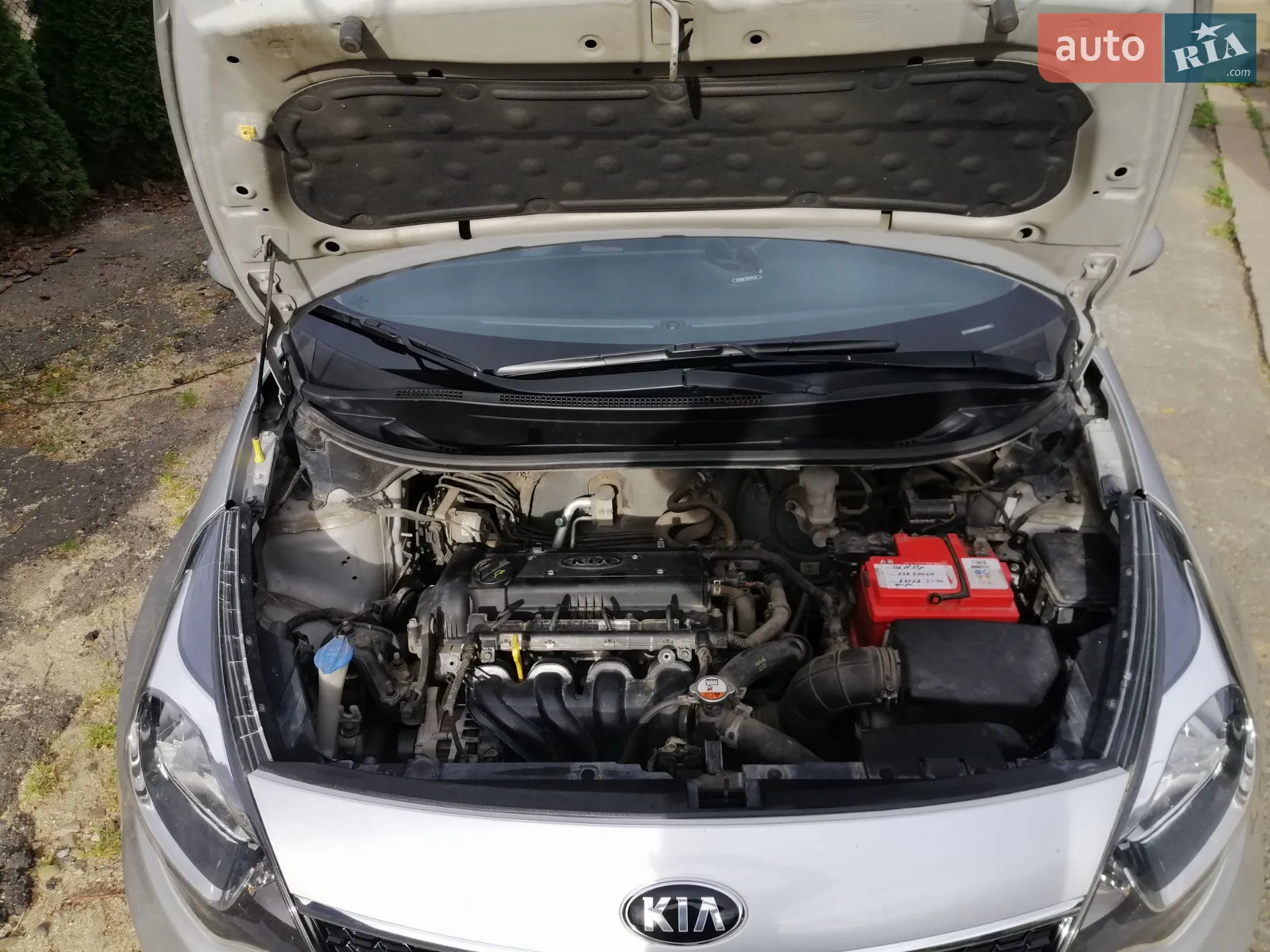 2016 Kia Rio - мініатюра 3