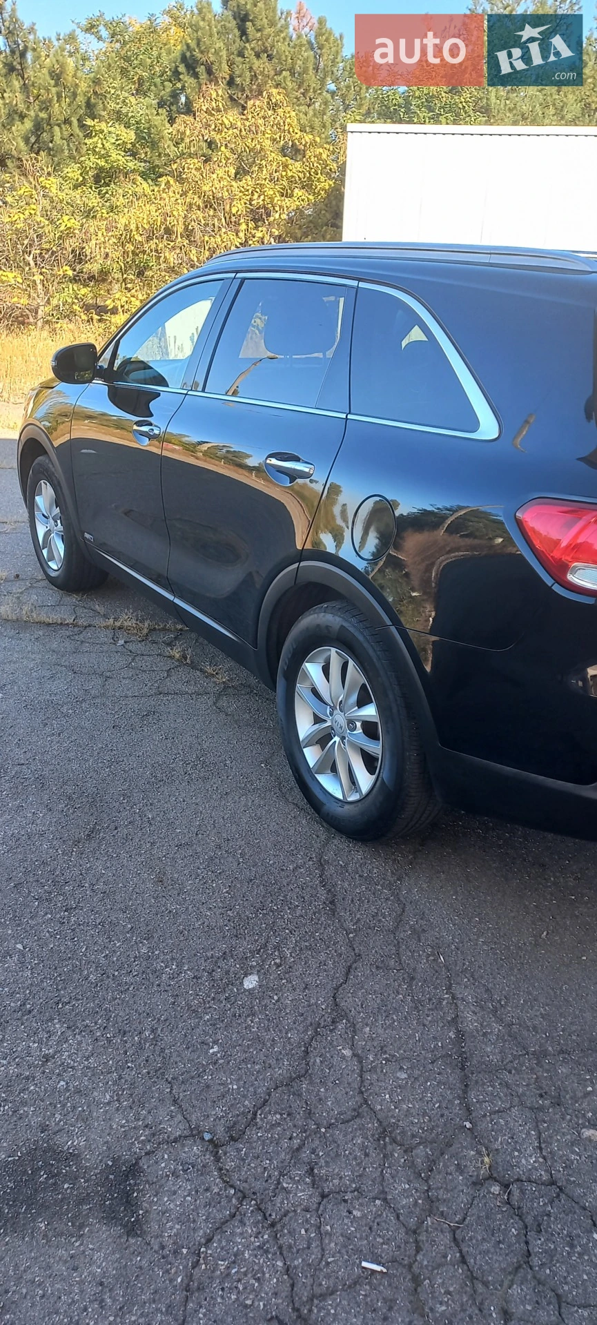 2016 Kia Sorento - мініатюра 13