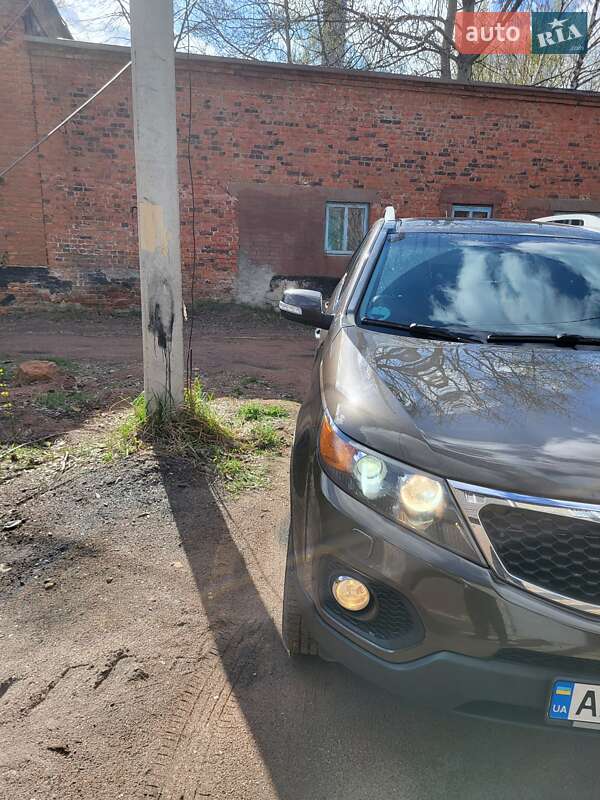 Внедорожник / Кроссовер Kia Sorento 2010 в Коростене фото 4 Внедорожник / Кроссовер Kia Sorento 2010 в Коростене