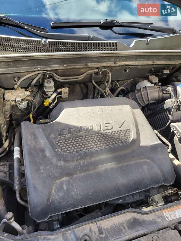 Внедорожник / Кроссовер Kia Sorento 2010 в Коростене фото 56 Внедорожник / Кроссовер Kia Sorento 2010 в Коростене