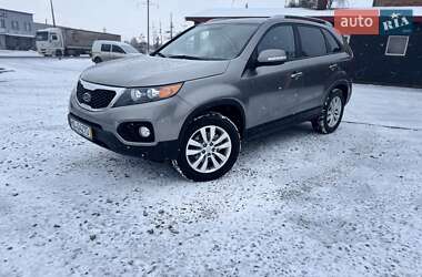 Внедорожник / Кроссовер Kia Sorento 2010 в Шепетовке