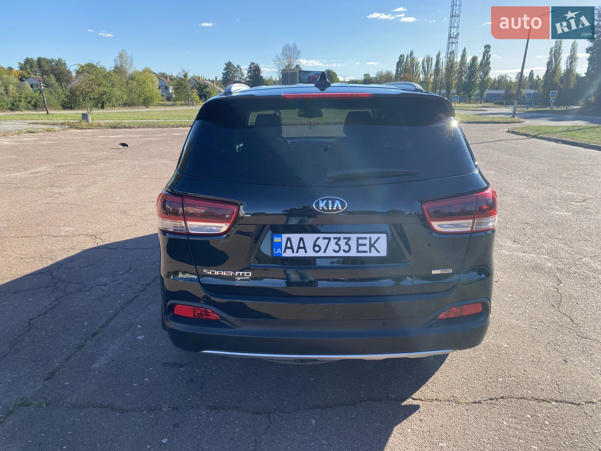 2016 Kia Sorento - мініатюра 10