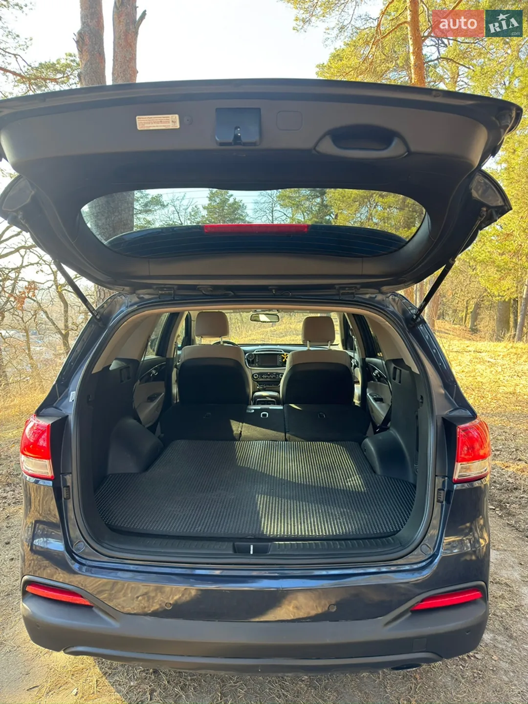 2016 Kia Sorento - мініатюра 27