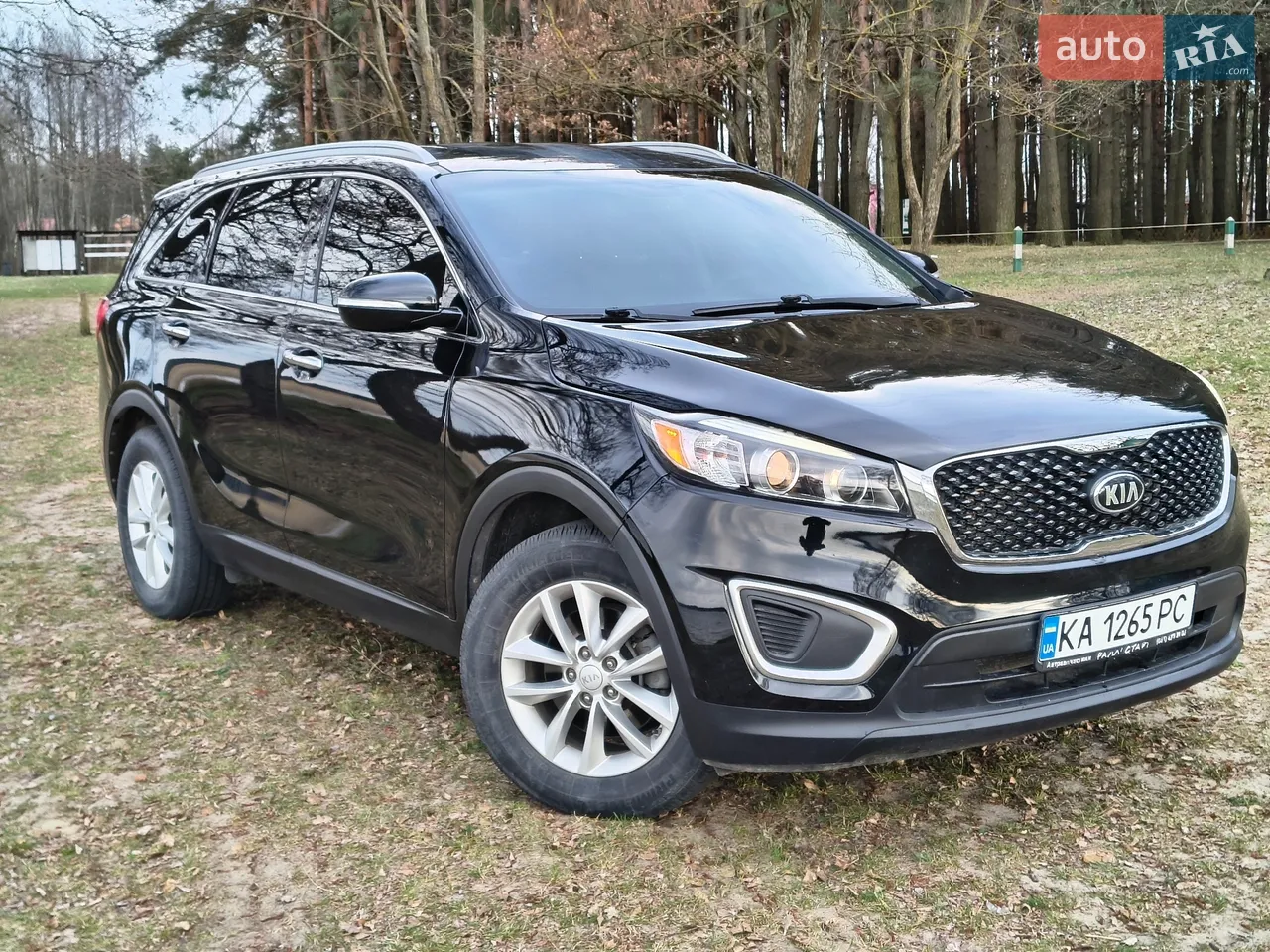 2017 Kia Sorento - мініатюра 37