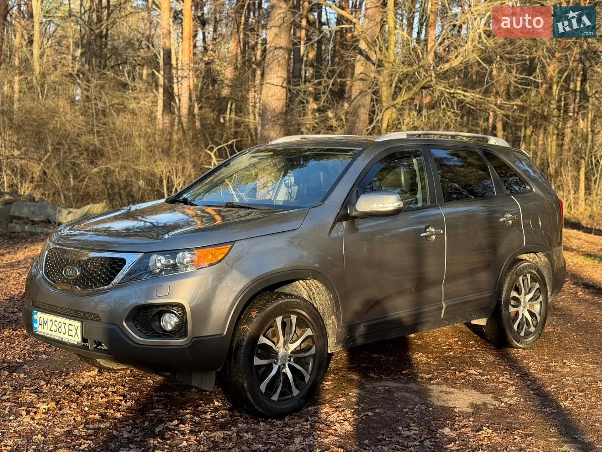 2010 Kia Sorento - мініатюра 13