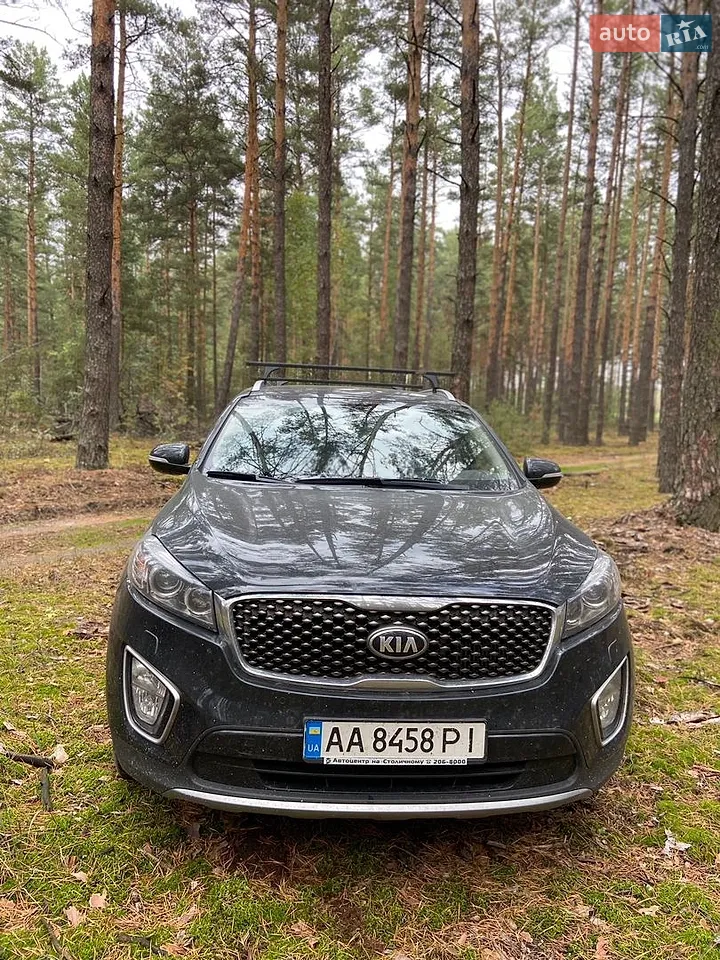 2016 Kia Sorento - мініатюра 13