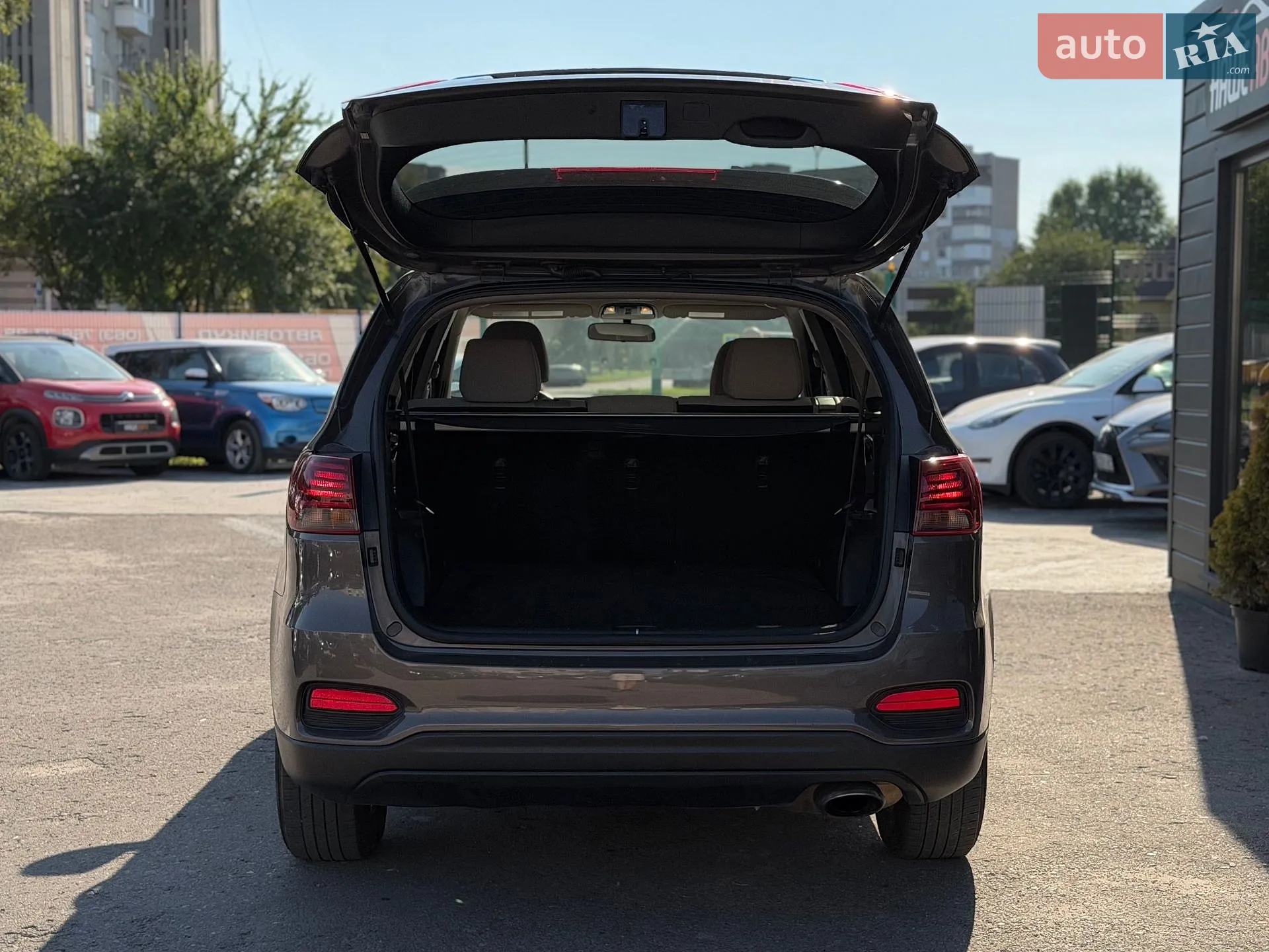 2018 Kia Sorento - мініатюра 13