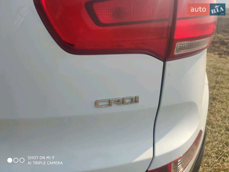Позашляховик / Кросовер Kia Sportage 2014 в Золочеві фото 15 Позашляховик / Кросовер Kia Sportage 2014 в Золочеві
