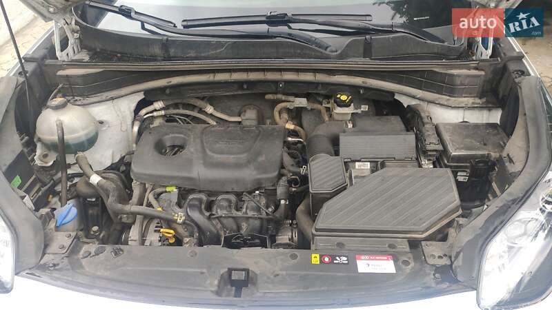 Внедорожник / Кроссовер Kia Sportage 2020 в Киеве