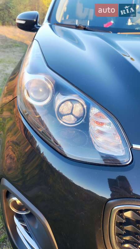 Внедорожник / Кроссовер Kia Sportage 2016 в Шостке