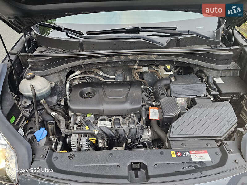 Позашляховик / Кросовер Kia Sportage 2021 в Борисполі