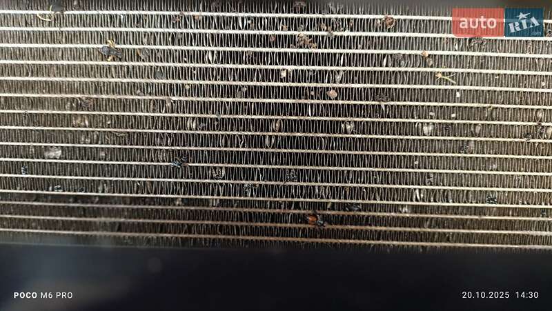 Позашляховик / Кросовер Kia Sportage 2020 в Миколаєві