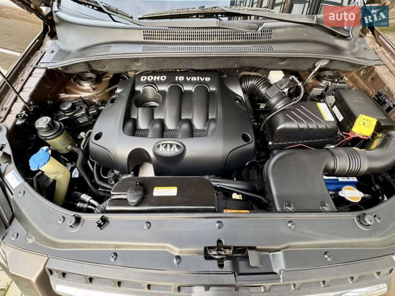 Внедорожник / Кроссовер Kia Sportage 2007 в Житомире фото 33 Внедорожник / Кроссовер Kia Sportage 2007 в Житомире