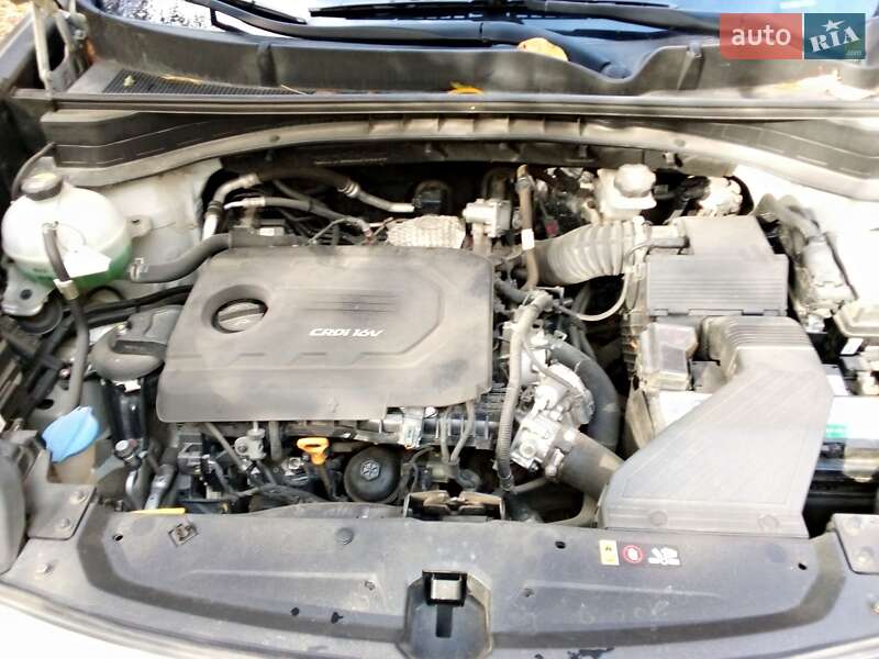 Позашляховик / Кросовер Kia Sportage 2016 в Львові фото 21 Позашляховик / Кросовер Kia Sportage 2016 в Львові