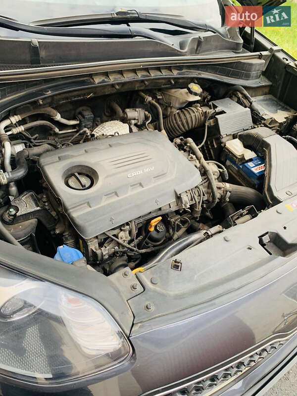 Внедорожник / Кроссовер Kia Sportage 2016 в Полтаве