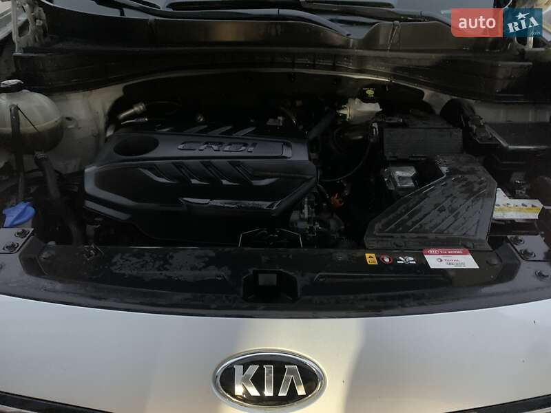 Внедорожник / Кроссовер Kia Sportage 2020 в Киеве фото 4 Внедорожник / Кроссовер Kia Sportage 2020 в Киеве