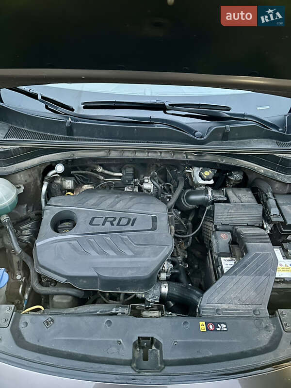 Позашляховик / Кросовер Kia Sportage 2019 в Сумах