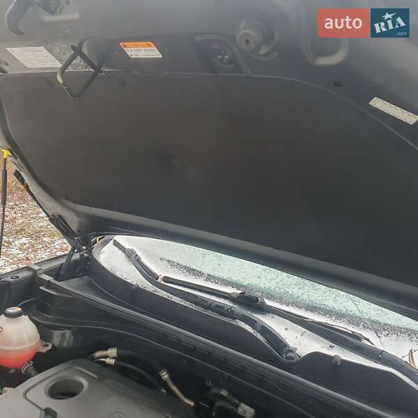 Внедорожник / Кроссовер Kia Sportage 2021 в Тернополе