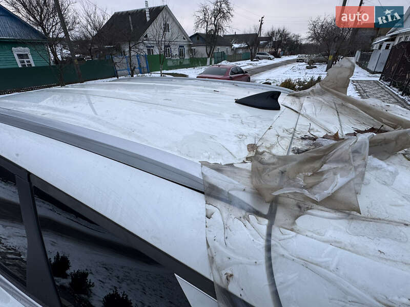 Внедорожник / Кроссовер Kia Sportage 2023 в Городне