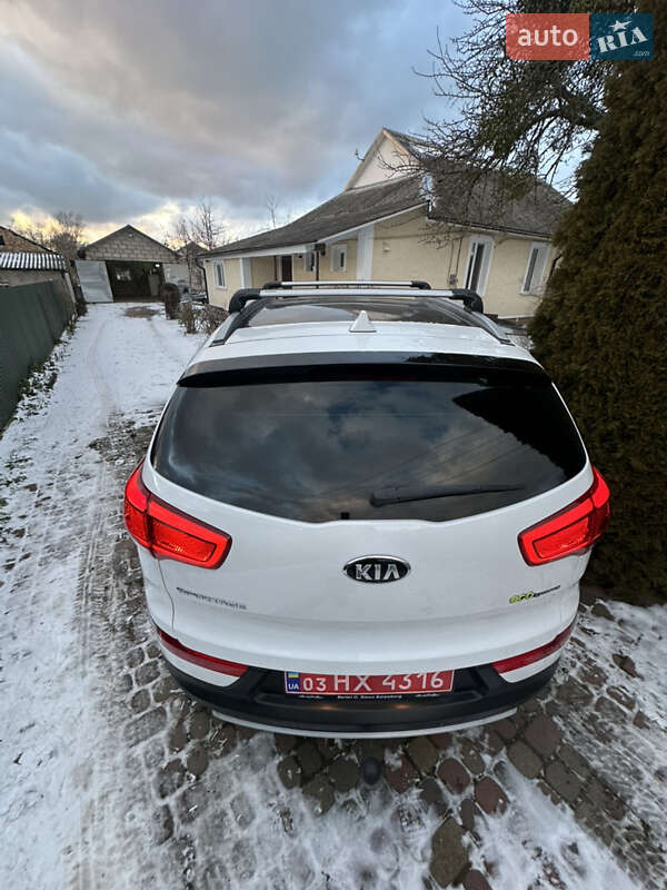 Позашляховик / Кросовер Kia Sportage 2014 в Луцьку фото 7 Позашляховик / Кросовер Kia Sportage 2014 в Луцьку