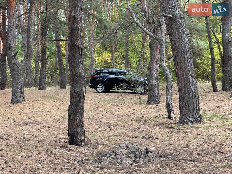 Kia Sportage 2016 Kia Sportage 2016