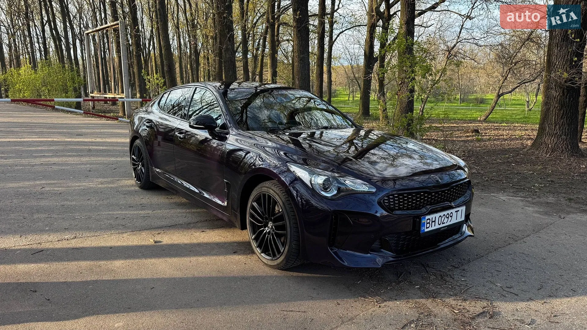 2017 Kia Stinger - мініатюра 4