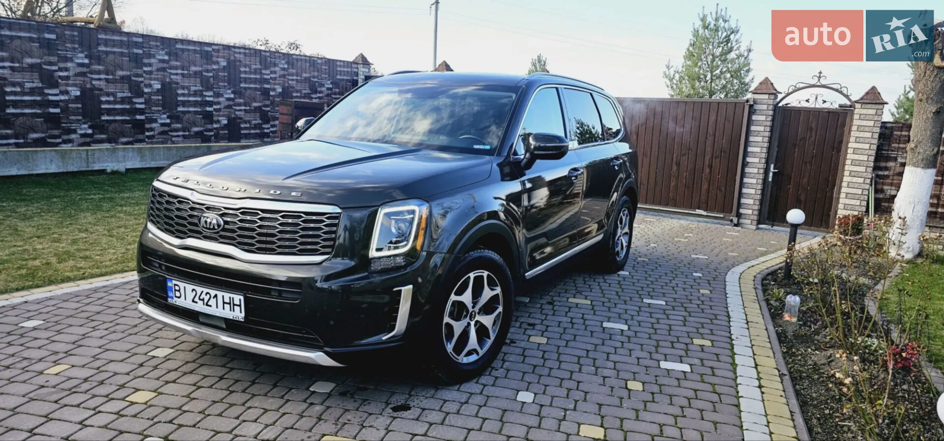 2019 Kia Telluride - мініатюра 4