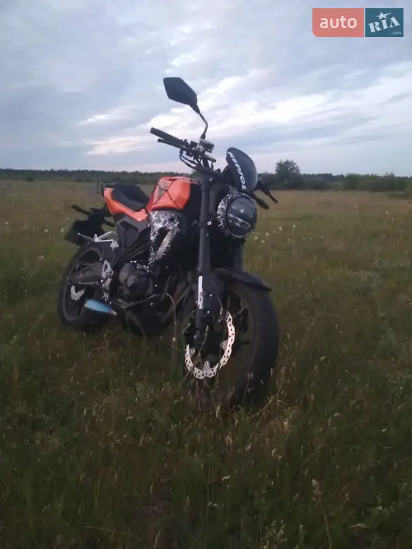 Kovi Verta 200 2020