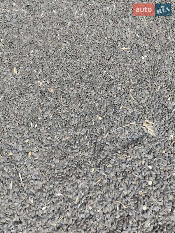 Самоскид напівпричіп Kraker CF 300 2012 в Харкові фото 27 Самоскид напівпричіп Kraker CF 300 2012 в Харкові