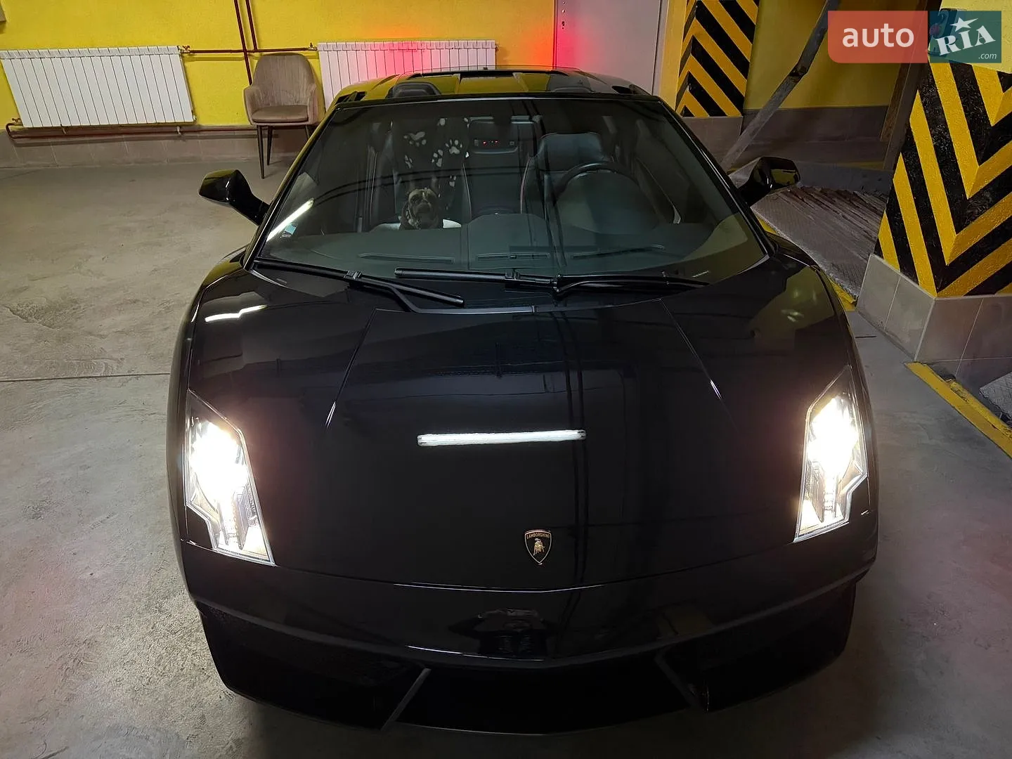 2010 Lamborghini Gallardo - мініатюра 21