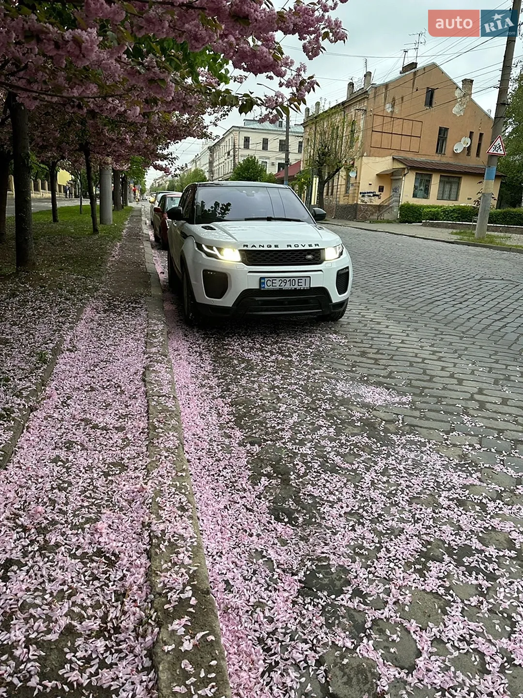 2016 Land Rover Range Rover Evoque - мініатюра 11
