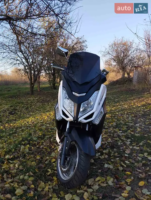 Leader ML 2019