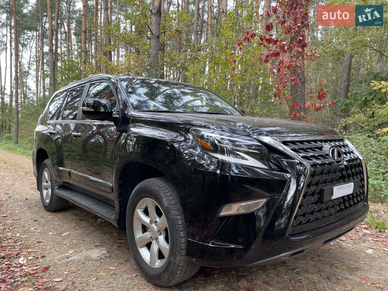 2017 Lexus GX - мініатюра 9