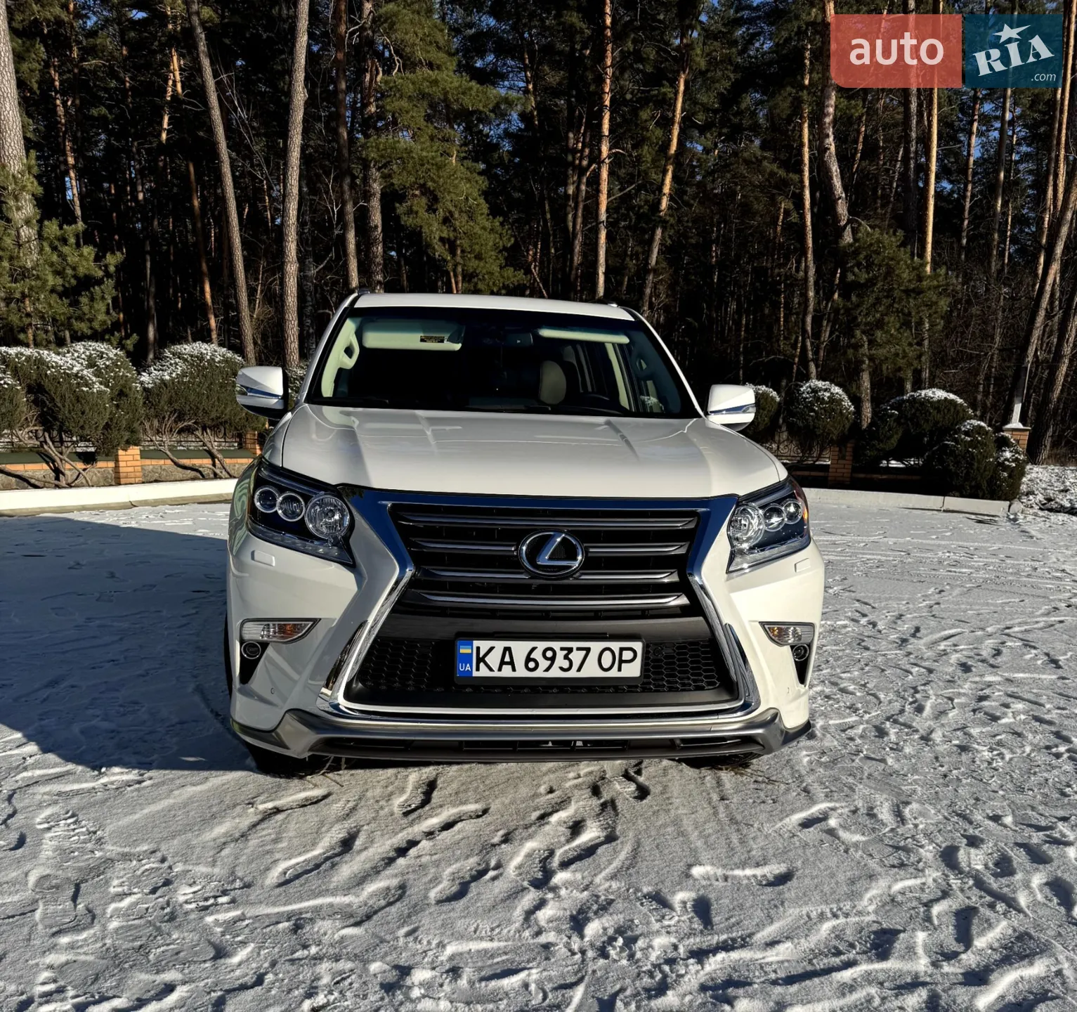 2019 Lexus GX - мініатюра 2