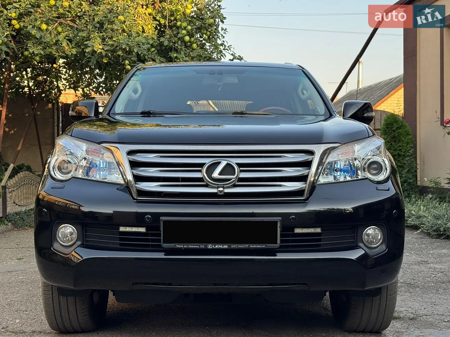 2010 Lexus GX - мініатюра 3