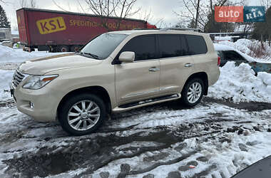 Внедорожник / Кроссовер Lexus LX 2008 в Рокитном
