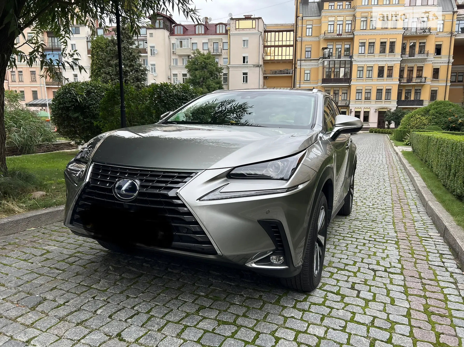 2019 Lexus NX - мініатюра 2